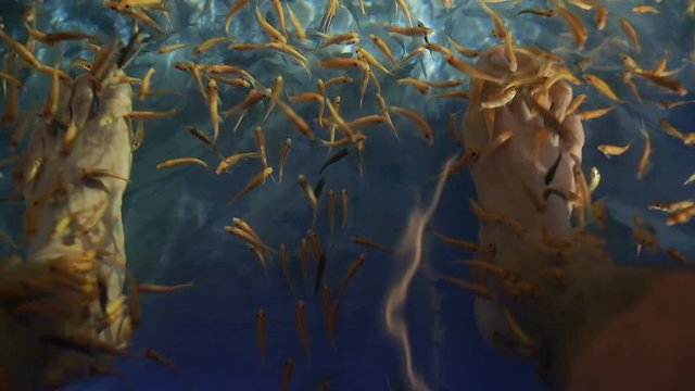 Feet Of A Man Getting A Fish Pedicure