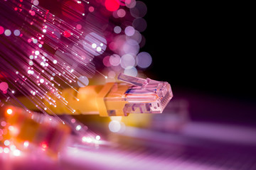 Fiber