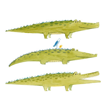 Watercolor crocodile vector set