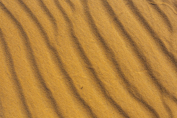 closeup sandy desert background