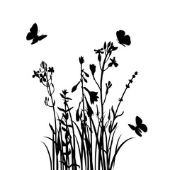 Grass, flowers and butterflies