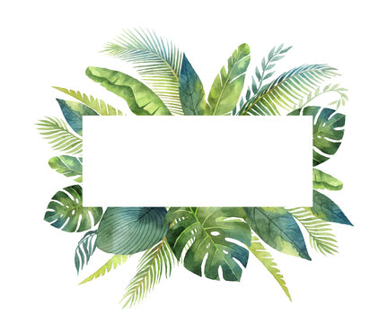 Watercolor vector banner tropical leaves and branches isolated on white background.