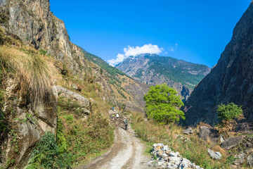 Fototapeta na wymiar Tourists on a mountain road in the Himalayas.