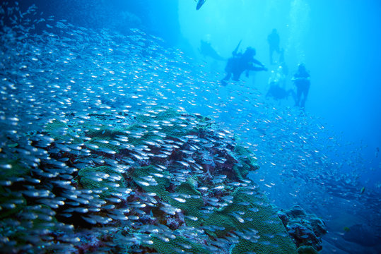 scuba driving