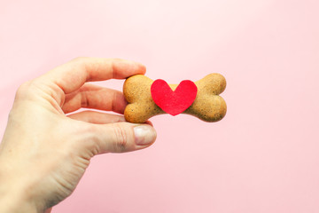bone-shaped biscuit for dog and red heart in woman hand on pink background, concept pet care