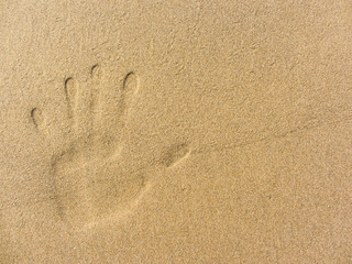 playing with sand long the shoreline