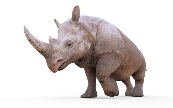 3d Illustration Large White Rhinoceros Isolated on White Background with Clipping Path.