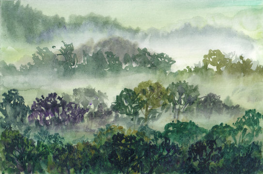 Hand drawn illustration of rainforest of vietnam. Foggy morning