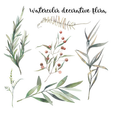 Watercolor decorative floral set. Hand painted botanical elements: plants, grass, berries, fern, leaves. Natural objects isolated on white background