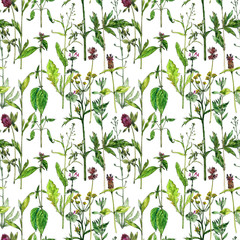 seamless pattern with flowers and plants