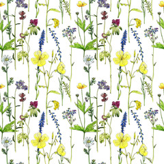 seamless pattern with flowers and plants