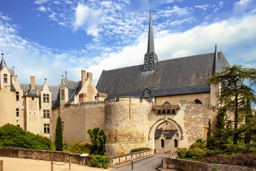 Fototapeta na wymiar Montreuil Bellay. Le château. Maine et Loire. Pays de Loire