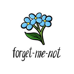 vector flower of forget-me-not