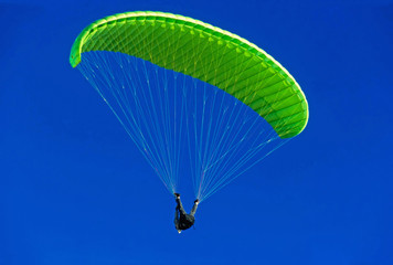 Paraglider