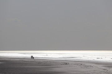 Fototapeta na wymiar silhouette sur la plage , normandie