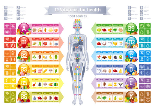 Mineral Vitamin supplement, human female body, food, Health benefit banner, flat vector icon set text letter logo. Table illustration poster, medicine chart. Diet balance medical Infographic diagram