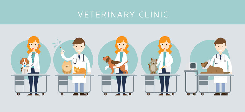 Male & Female Veterinarian Checkup Pets, Cats and Dogs, Vaccination, Clinic