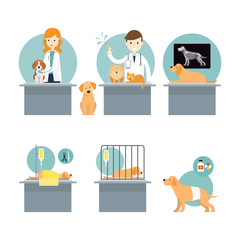 Veterinarian Checkup and Take Care Sick Pets, Cats and Dogs, Clinic and Hospital