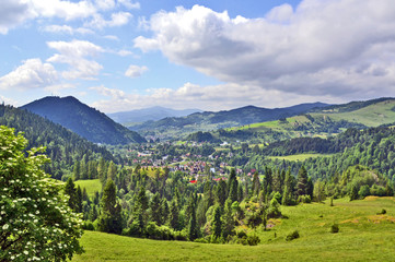 Fototapeta na wymiar Summer landscape in Pieniny mountains, near to Szczawnica, Poland
