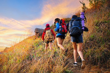 Young asian people hiking in the forest during summer at sunset,travel,tourism and teamwork concept - 204872068