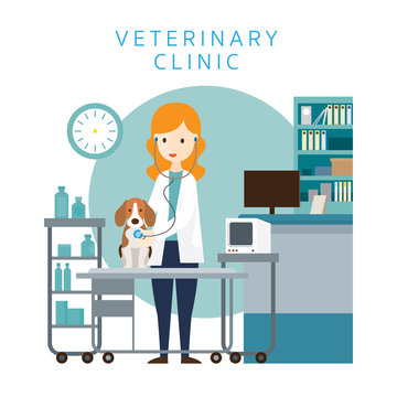 Female Veterinarian Checkup Dog, Pet Clinic or Hospital, Healthcare 