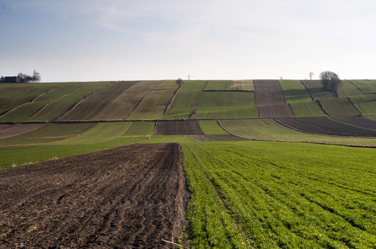  Plowed Field - Agriculture in Poland
