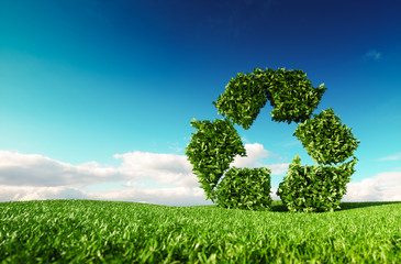 Eco friendly recyclation concept. 3d rendering of green recycle icon on fresh spring meadow with blue sky in background. - obrazy, fototapety, plakaty