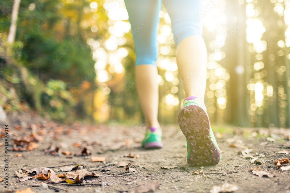 Wall mural Woman walking and hiking in autumn woods