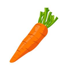 Carrot icon vector illustration on white