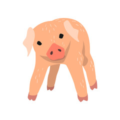 Obraz premium Cute cartoon little pig vector Illustration on a white background