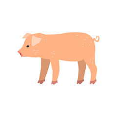 Cute cartoon little pig standing, side view vector Illustration on a white background