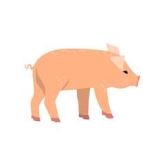 Little funny pig, side view cartoon vector Illustration on a white background