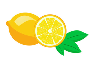 Fresh lemon fruits vector illustrations