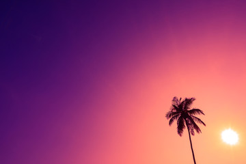 Fototapeta na wymiar One palm tree silhouette over tropical colorful clear sunset sky with shining sun and copy space