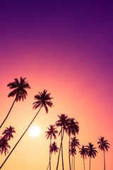 Fototapeta premium Beautiful vivid tropical sunset with palm trees silhouettes and sky as copy space place
