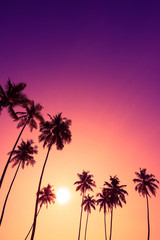 Fototapeta na wymiar Beautiful colorful tropical sunset with coconut palm trees silhouettes vertical with copy space