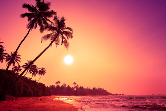 Tropical beach at colorful pink tropic sunset
