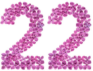 Arabic numeral 22, twenty two, from flowers of lilac, isolated on white background
