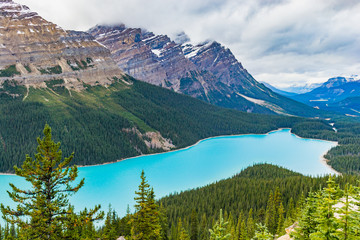 Fototapeta na wymiar Peyto Lake of Banff National Park in Canada