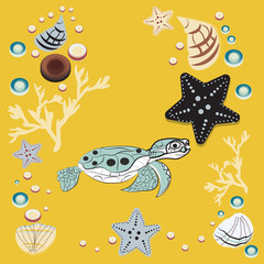 May 23 - World Turtle Day