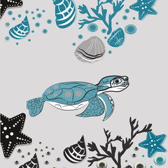 Fototapeta premium May 23 - World Turtle Day
