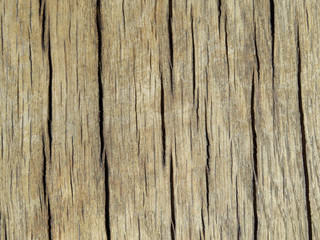 Cracked wood texture background.  Old wooden board surface