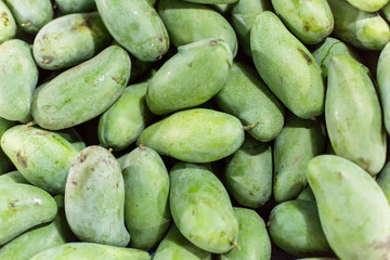 Close up of pile of fresh green mangoes.