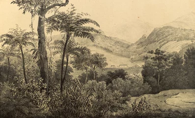 Natur Südamerikas. © ruskpp