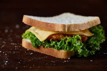 Tasty and fresh sandwiches on a dark wooden background, close-up