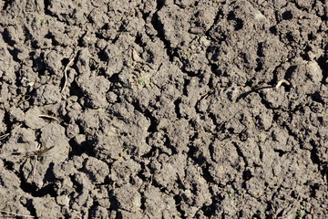 the texture of the soil ground background. dry ground cracks for a long time there was no rain