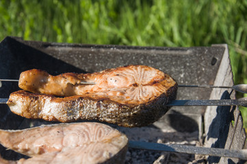 grilled fish on campfire, food on the grill in the open air background