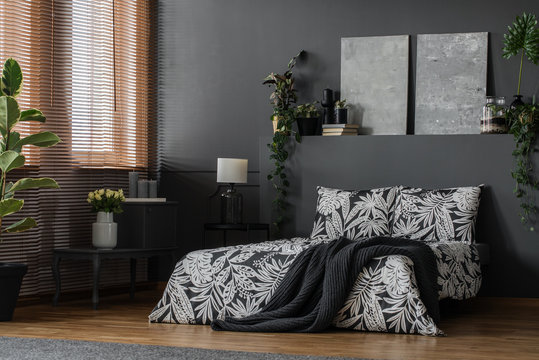 Elegant furniture in monochromatic bedroom