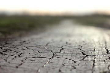 Obraz premium dried cracked ground on a dirt road