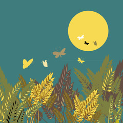 Wheat grains with night sky with the sun and butterflies. Vector illustration of grain on blue background.